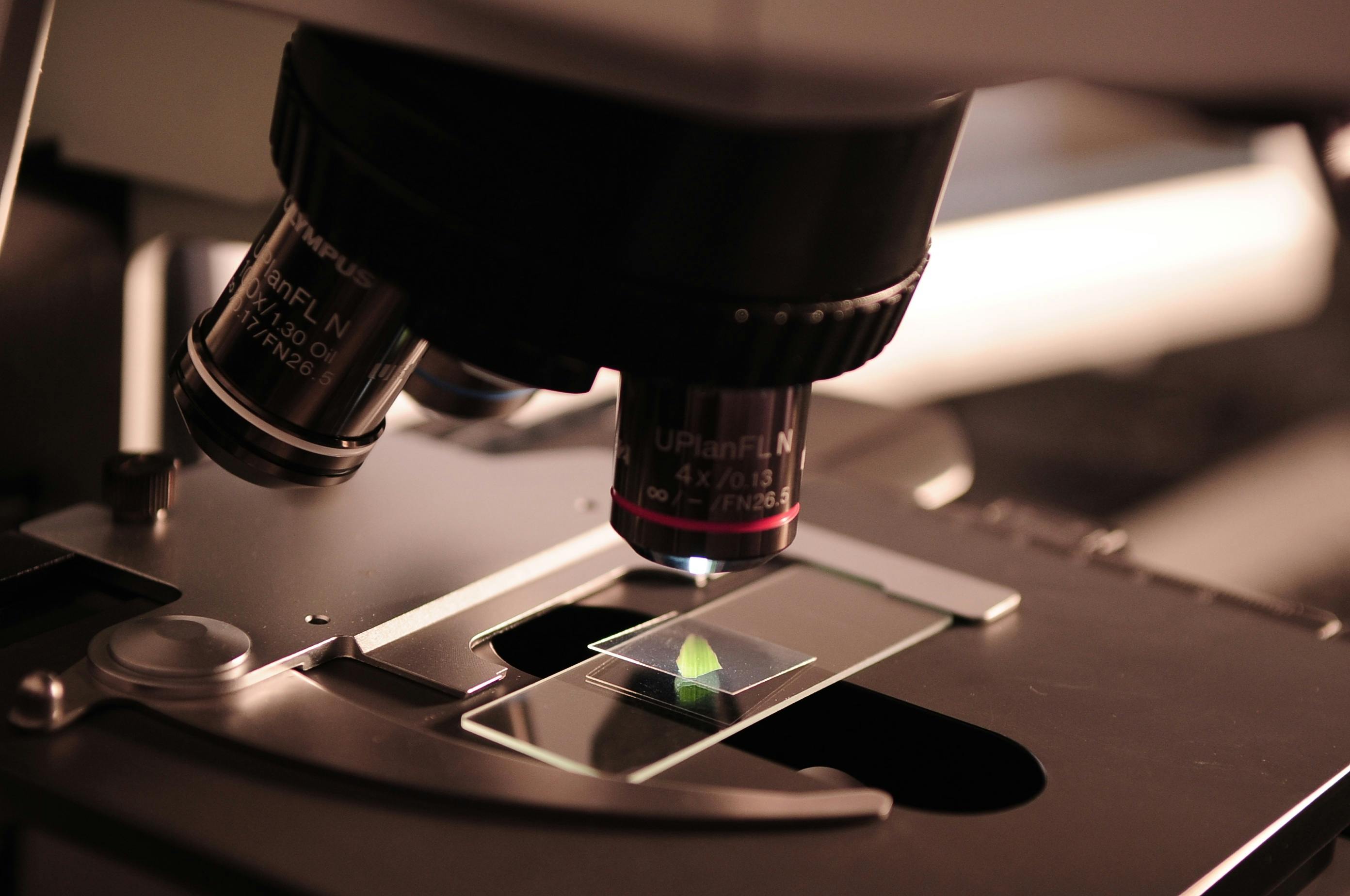 Research & Graduate Studies