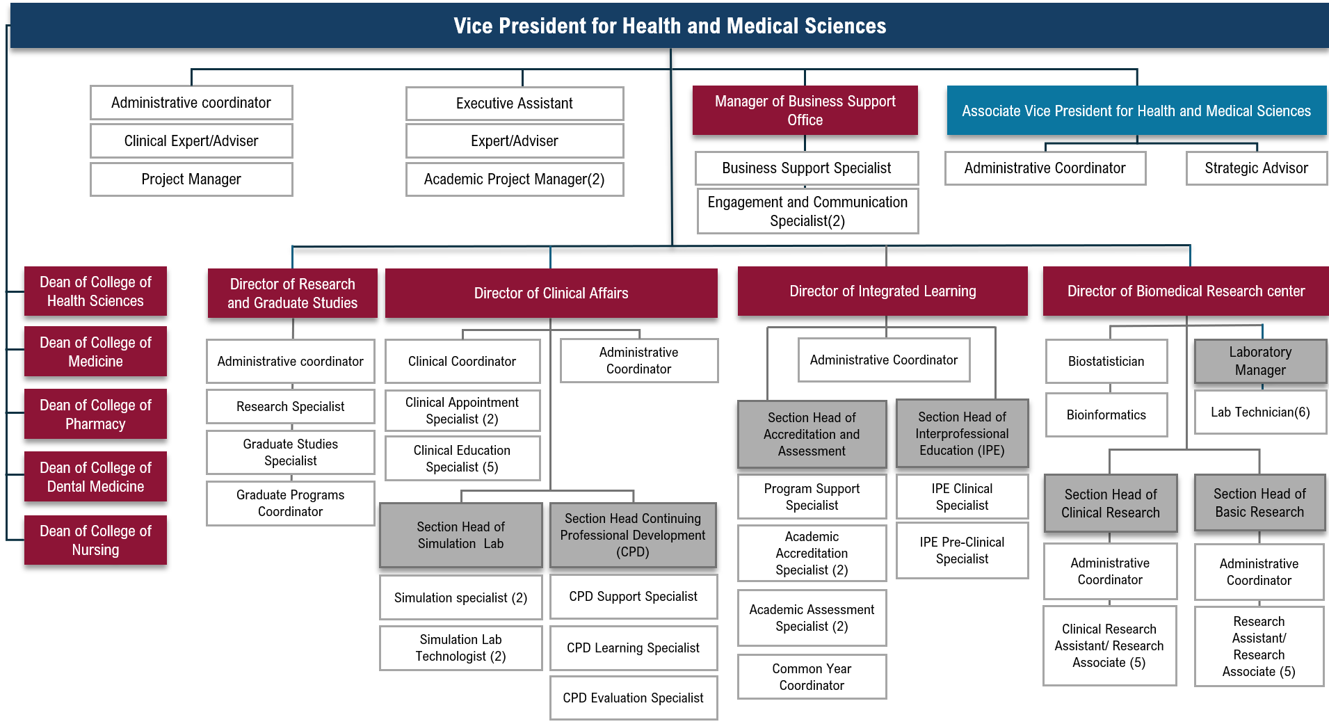 QUHealth-OrgChart-Website.png