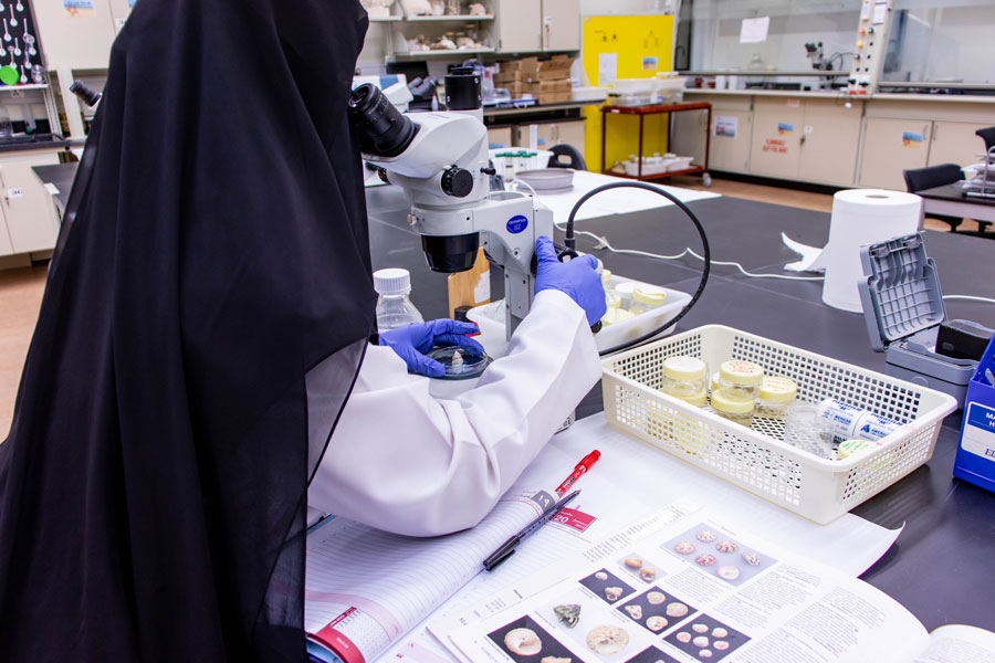 The Marine Biology laboratory